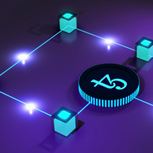 API & Systems Integration